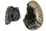 Septarian Dragon Egg Geode - Removable Section #203824-2